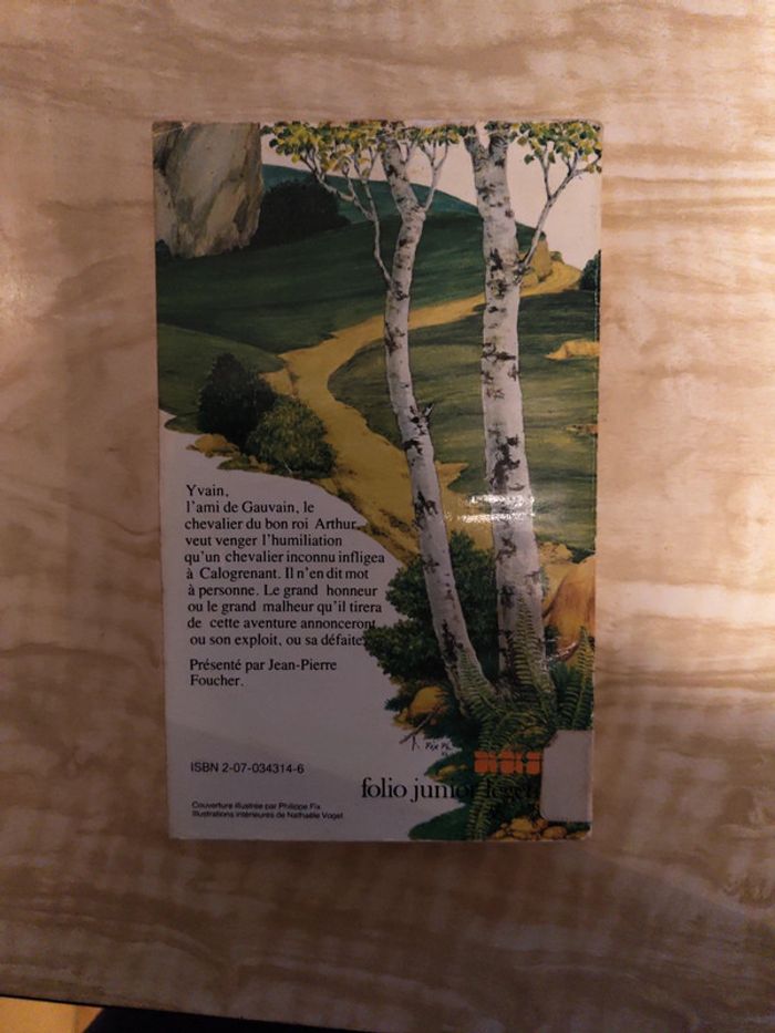 Yvain le chevalier au lion - photo numéro 2