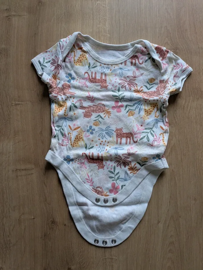 Lot de 4 bodies été manches courtes 9 mois - photo numéro 4