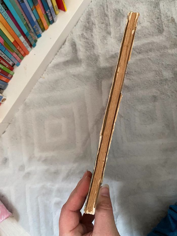 Livre 101 dalmatiens - photo numéro 2