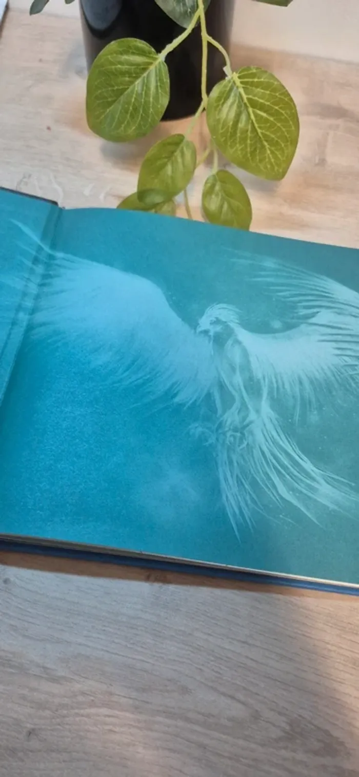 Livre harry potter - photo numéro 3