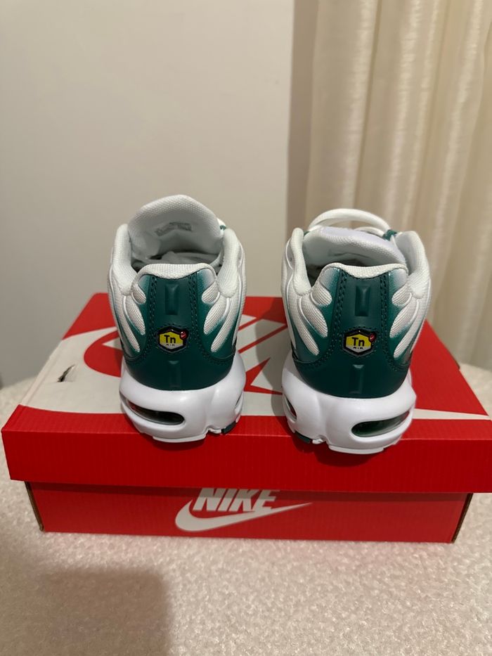 Tn nike Lacoste - photo numéro 4