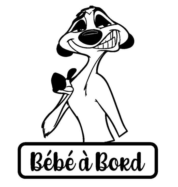 Stickers pour voiture - photo numéro 4