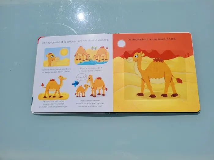 Éditions Deux coqs d'or, patapon 🐘 J'apprends Les animaux 🐊 - photo numéro 5