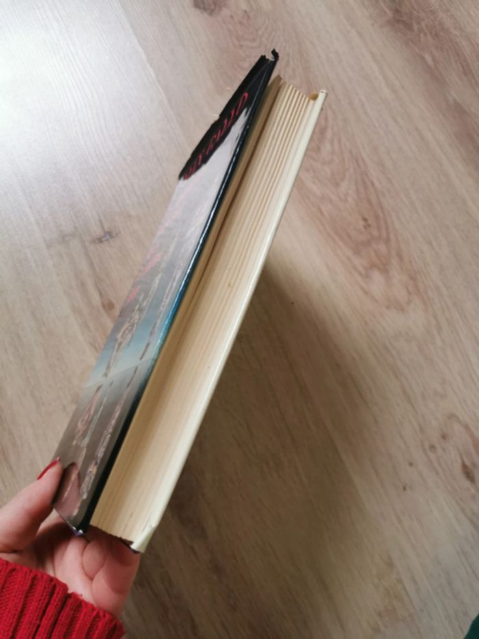 Les hommes naissent tous le même jour, Tome 2 Crépuscule, livre de Max Gallo - photo numéro 8