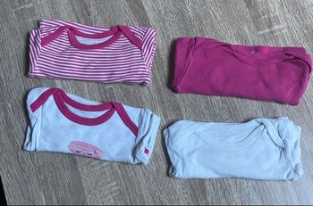 Lot 4 bodies 