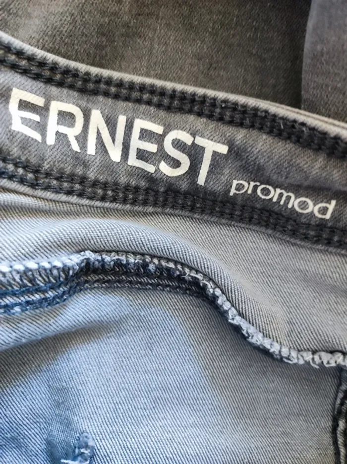 Ernest gris - photo numéro 4