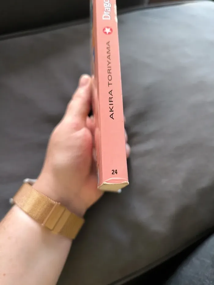 Manga dragon ball pastel tome 24 - photo numéro 5