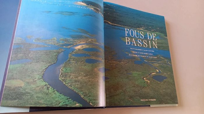 Fou de Bassin d'Arcachon - photo numéro 3