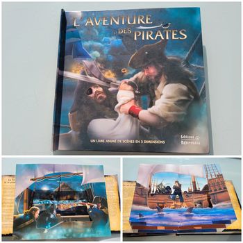 Magnifique livre animé 3D pop-up : L'Aventure des pirates (58)