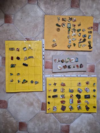 lot de pin's (ils n'ont pas tous le titi d'accroche derrière)