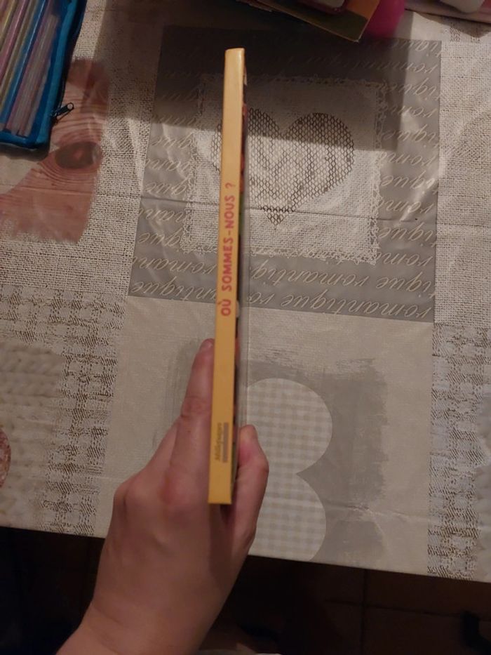 Livre cherche et trouve Où sommes nous ? - photo numéro 3