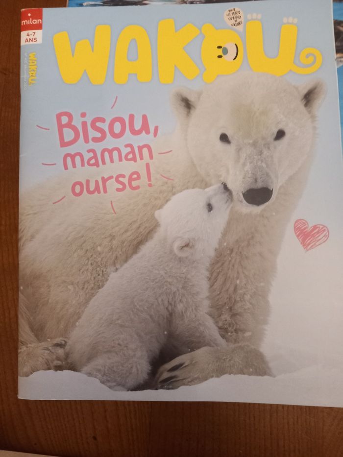 Lot 6 magazines Wakou - photo numéro 2