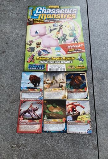 Magazine Chasseurs de dragon 