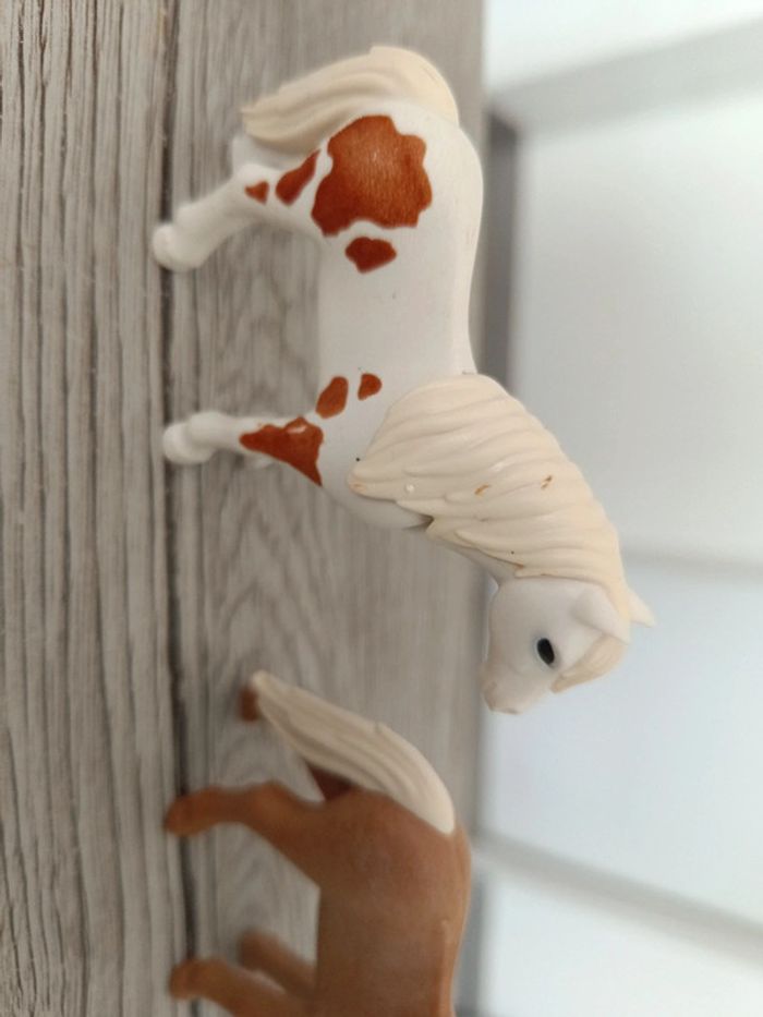 3 poulains playmobil cheval horses - photo numéro 5