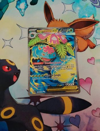 Méga florizarre 155/132