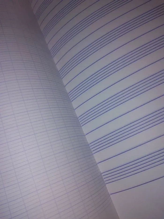 Cahier Neuf Musique & Chant - photo numéro 8
