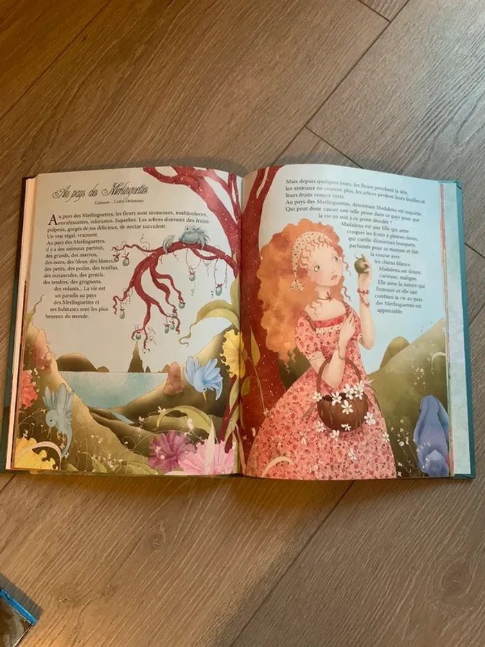 Livre de princesse - photo numéro 2