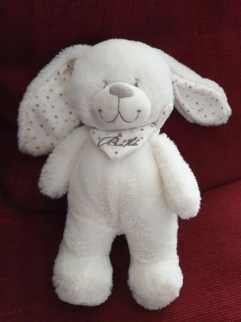 Peluche doudou lapin 🐇 blanc