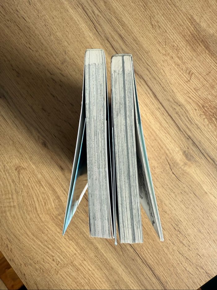 Lot mange Pokémon épée et bouclier - photo numéro 4