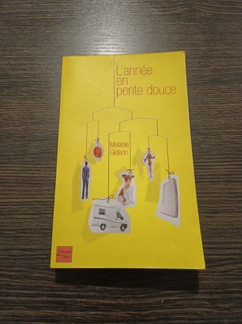 L'année en pente douce