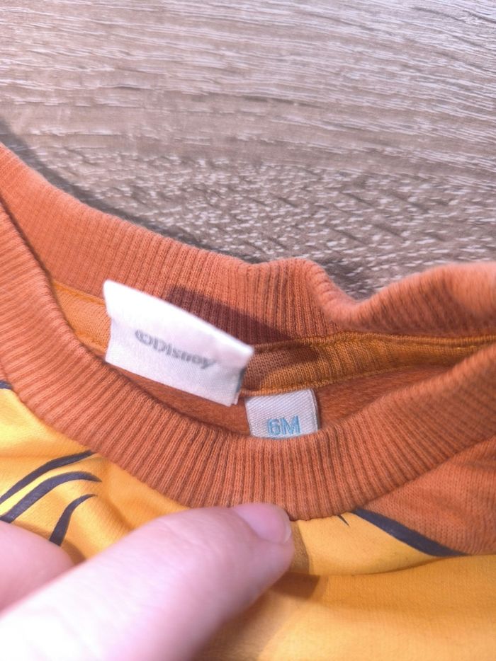 Pull simba - photo numéro 2