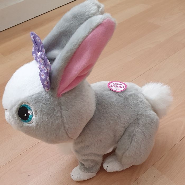 Lapin