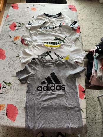 Lot de t-shirt