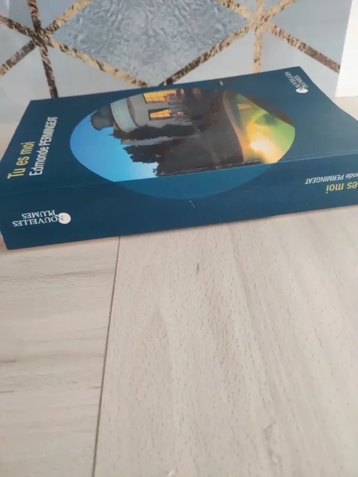 Livre grand format Tu es moi Permingeat - photo numéro 5
