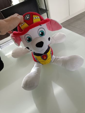 Paw patrol