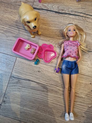 Barbie Chien et ses Chiots