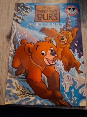 Livre  frère des ours  jours de neige