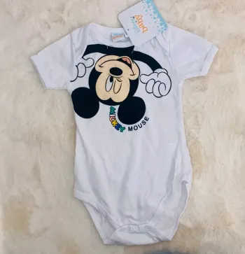 Body mickey