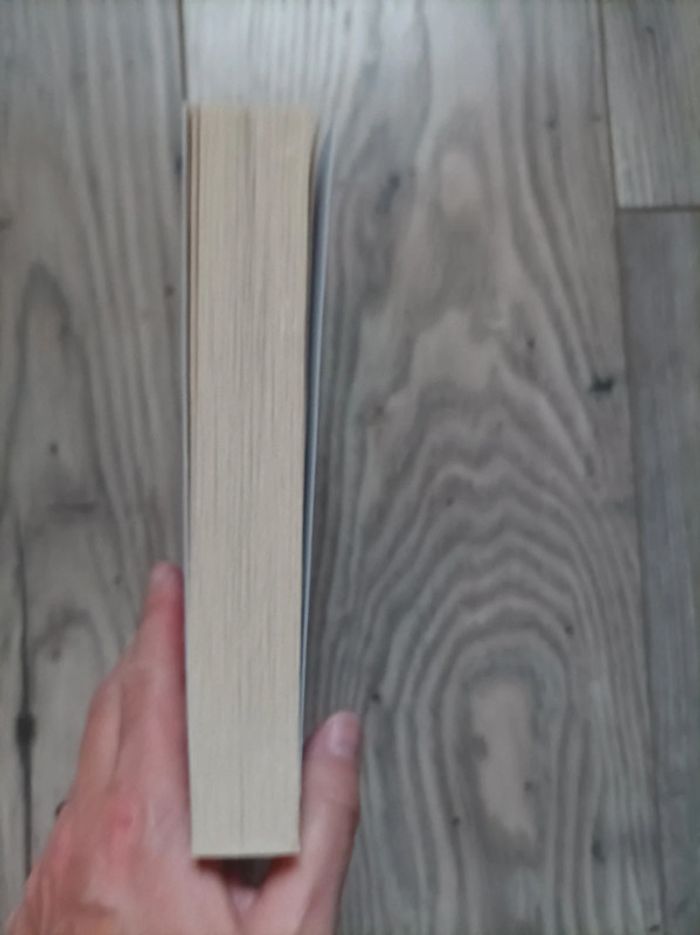 Livre " Fly away" Kristin Hannah en anglais neuf - photo numéro 4