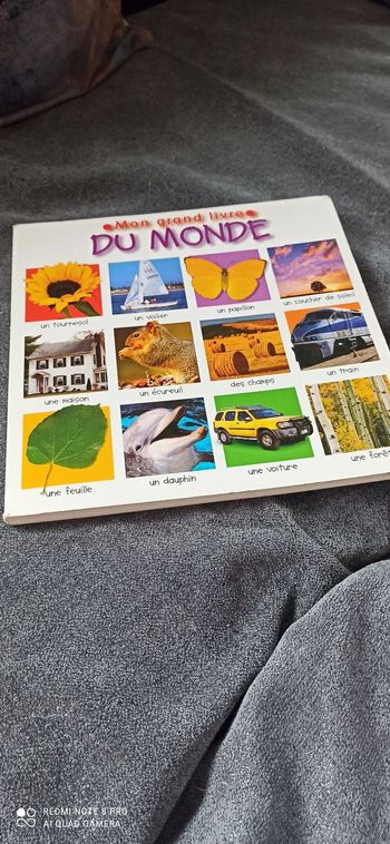 Livre Mon grand livre du monde
