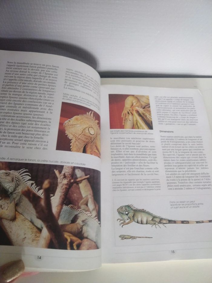Livre sur l'iguane - photo numéro 2