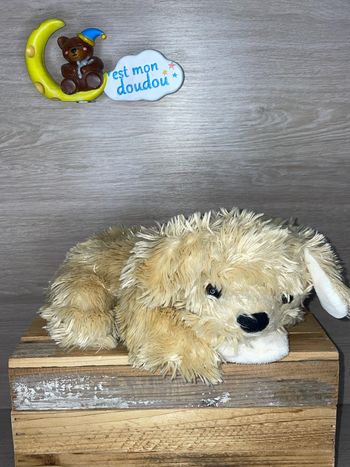 BK139 doudou chien 🐶 Bukowski