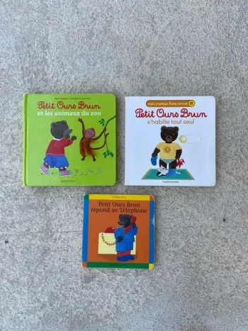 Lot de 3 livres épais - Petit Ours Brun