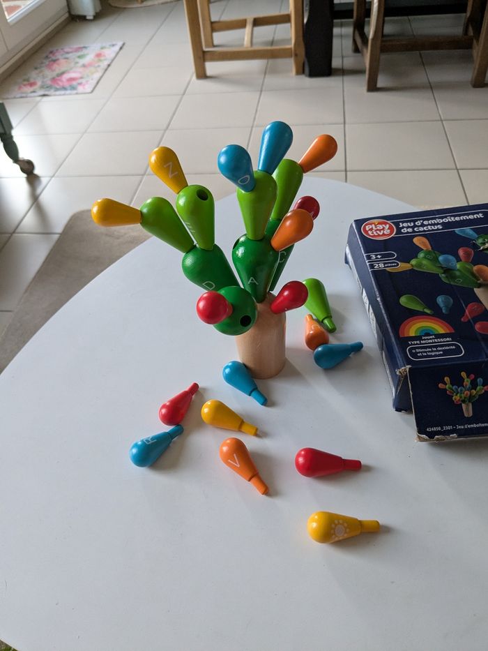 Jeu d'emboîtement de cactus - photo numéro 3