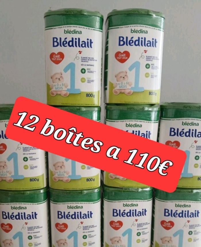 Blédilait 12 boîtes
