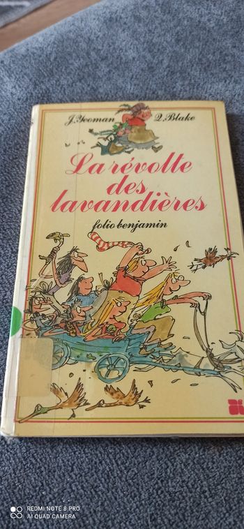 Livre la révolte des lavandières