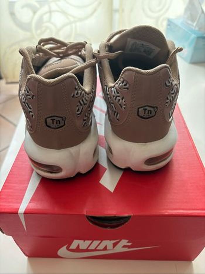 Tn femme - photo numéro 4