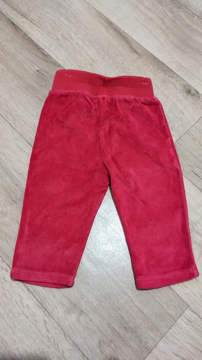 Pantalon velours Fushia DPAM 12 Mois - photo numéro 2