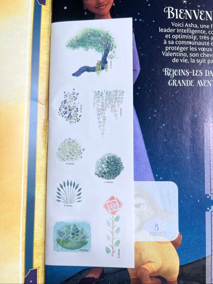 Album panini Wish + carte édition limité - photo numéro 2