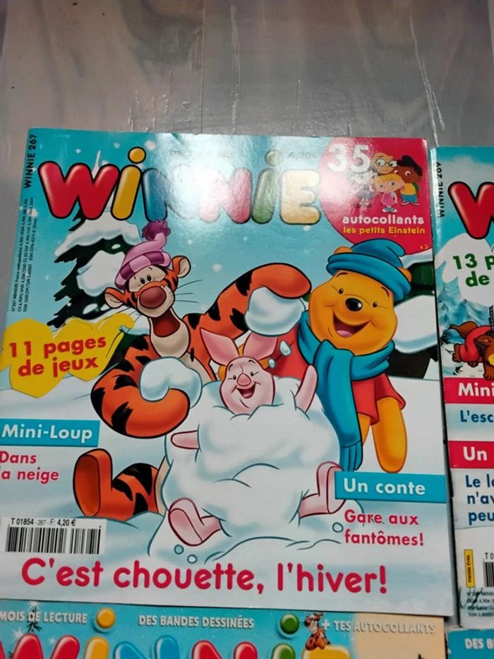 Lot Winnie - photo numéro 2