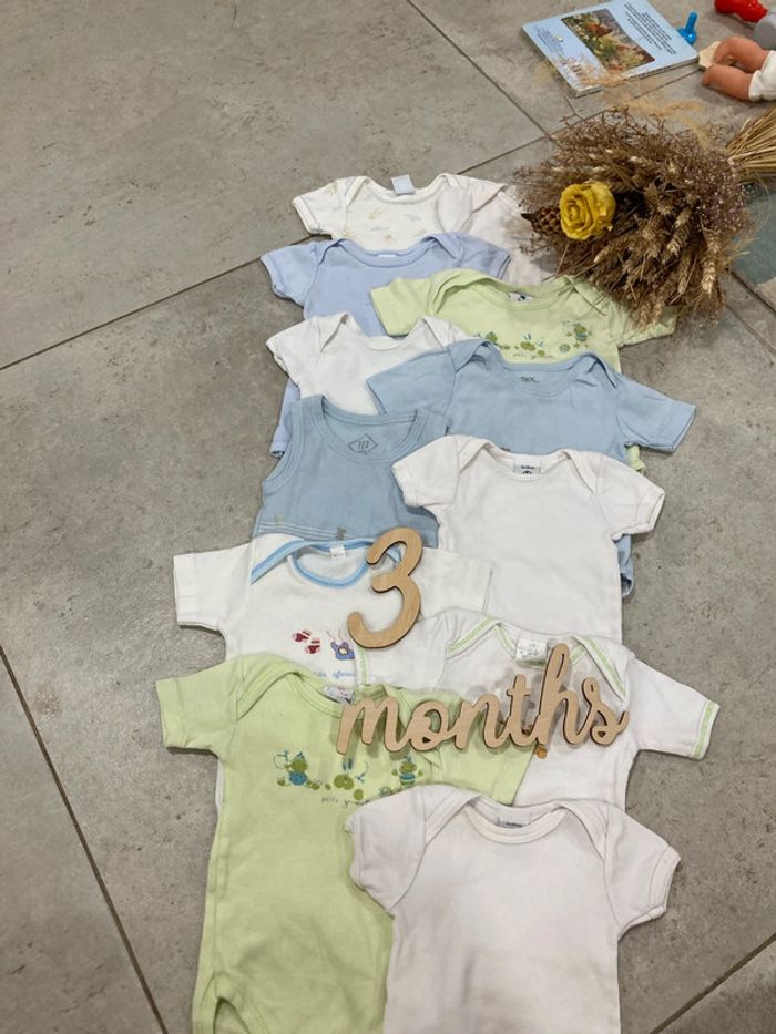 Lot de 12 bodys été 3 mois ( lot 3-3) - photo numéro 1