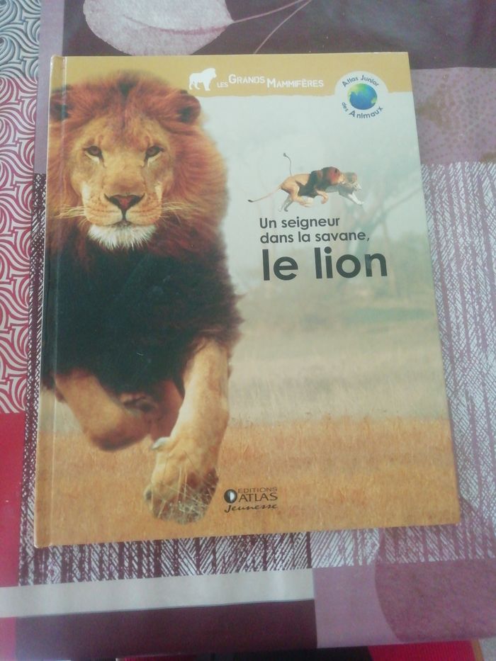 Lion un seigneur dans la savane