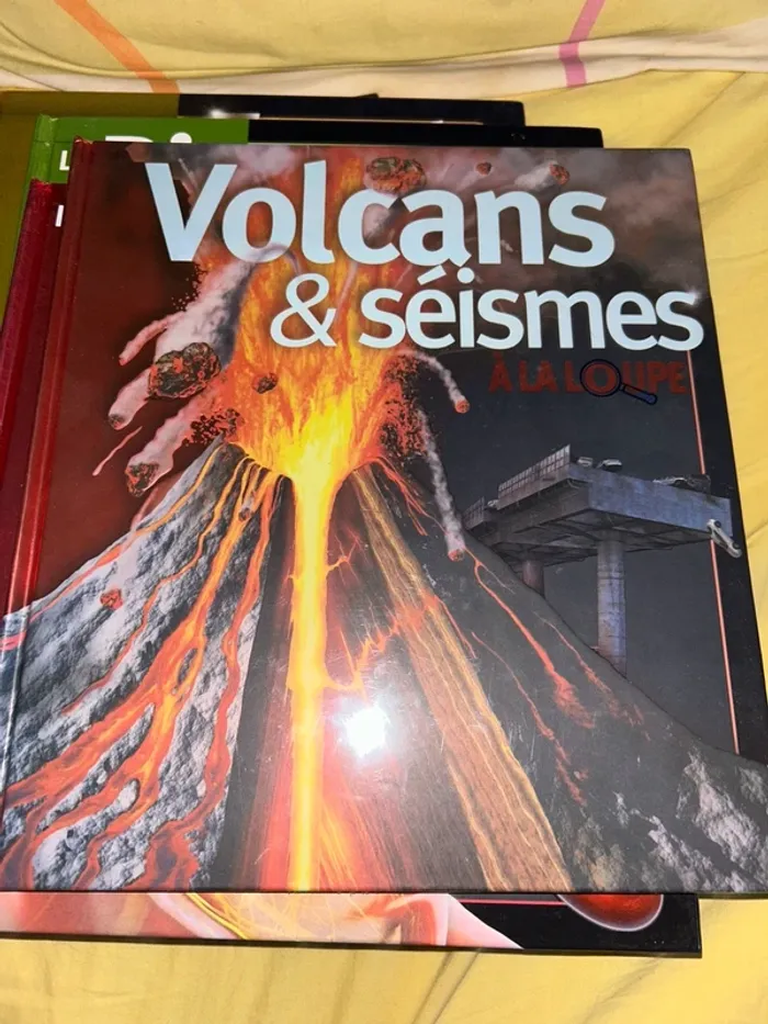 Lot livres À la loupe - photo numéro 7
