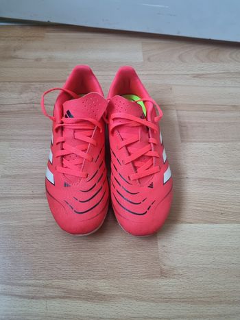 Chaussure de foot predator adidas