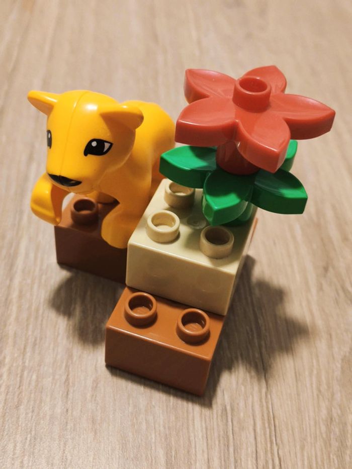 Duplo 4962 - photo numéro 5