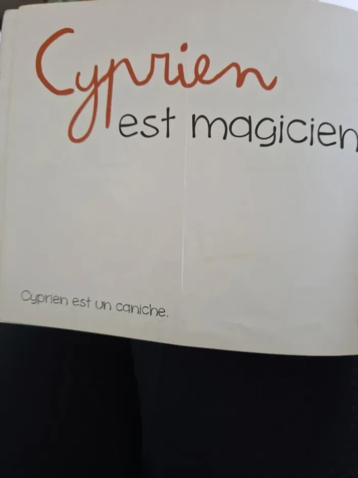 Livre ces 6 petits chiens là - photo numéro 6